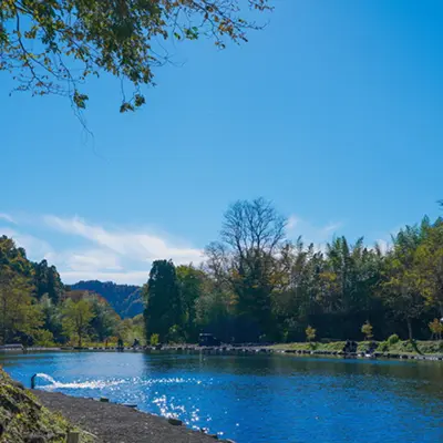 ベリーズ迦葉山のフィッシングポイントの池と周辺の自然。