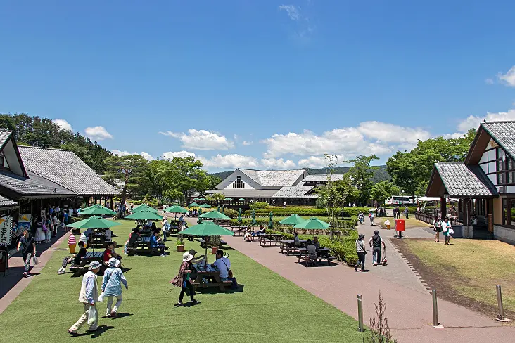 川場田園プラザのタウンマーケットの様子